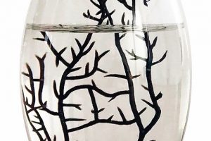 Ökosystem im Wasserglas