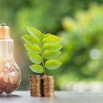 Energy_saving._stacks_of_coins_growing_in_light_bulb_and_tree_growing_on_stacks_of_coins_and_tree_nature_background._Saving,_Natural_energy_and_financial_concept.