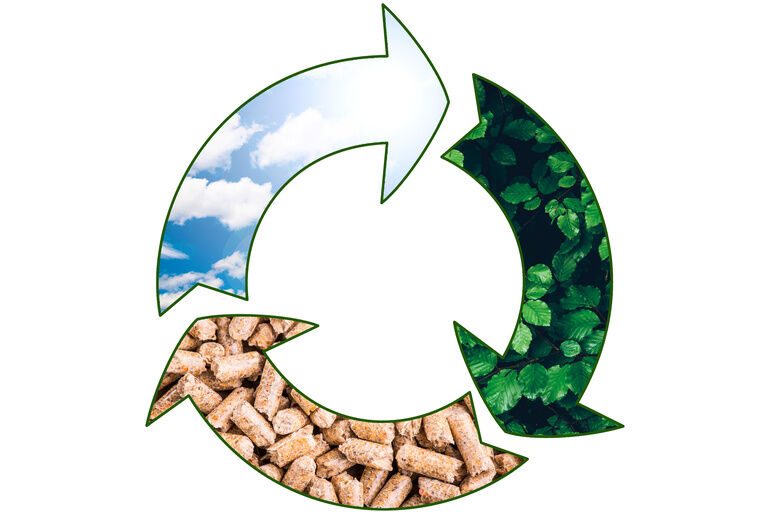 Nachhaltige Biomasse optimal nutzen