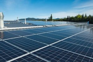Rollo Solar deckt mit Energie aus PV-Anlage fast die Hälfte seines Strombedarfs