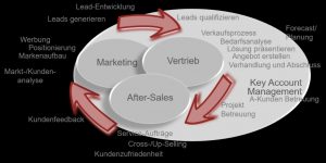 Grafik Verkaufs-Zyklus