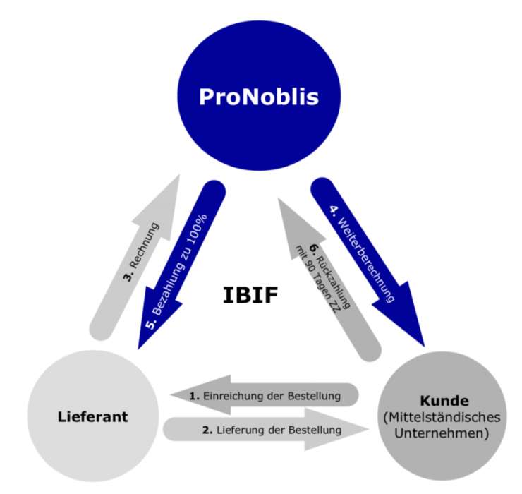 IBIF Pronoblis